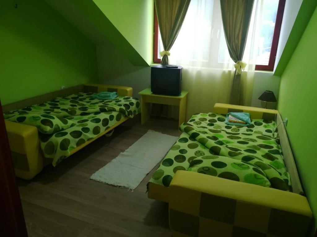 Apartman Ivana Ica Сокобаня Екстер'єр фото