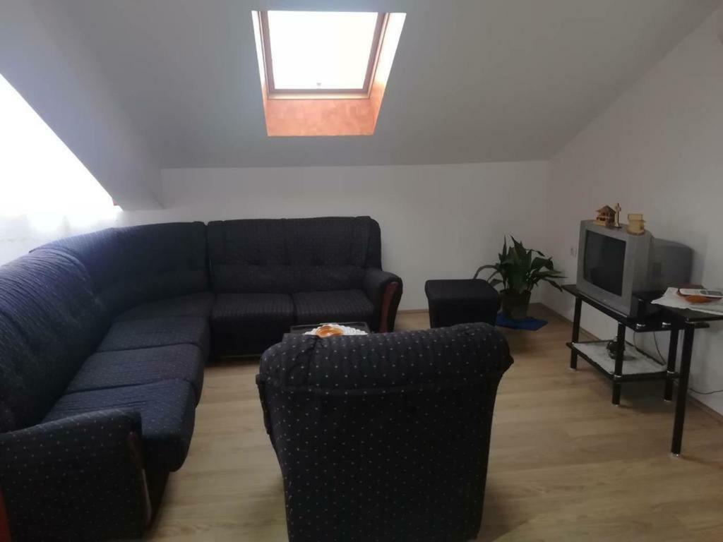 Apartman Ivana Ica Сокобаня Екстер'єр фото